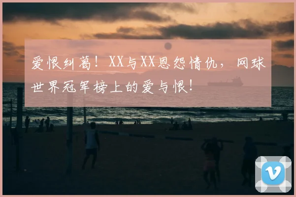爱恨纠葛！XX与XX恩怨情仇，网球世界冠军榜上的爱与恨！