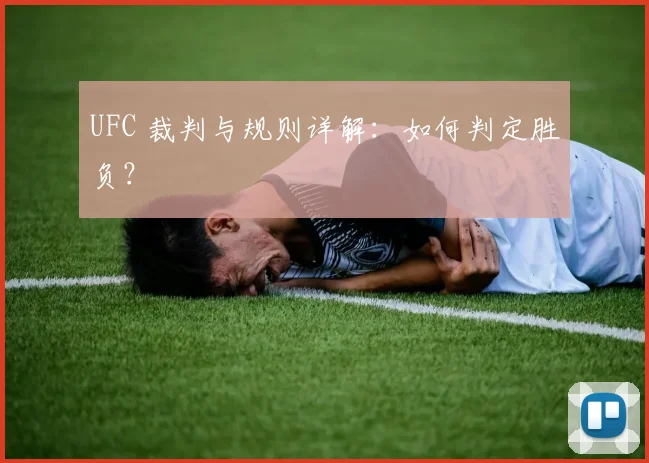 UFC 裁判与规则详解：如何判定胜负？